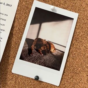 Meet your Posher, Corey